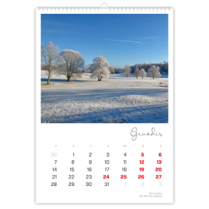 Mesoderma kalendorius, A3 formatas, 2026 m.