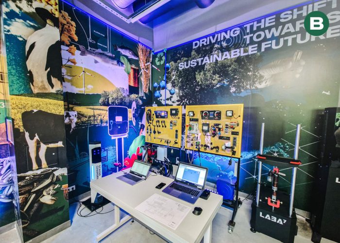 Vilniaus universiteto sienos apipavidalinimas