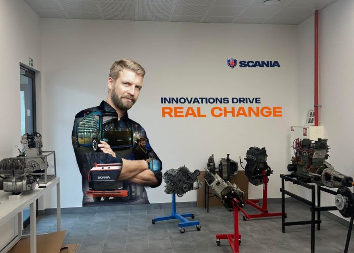 Vilniaus universiteto sienos apipavidalinimas