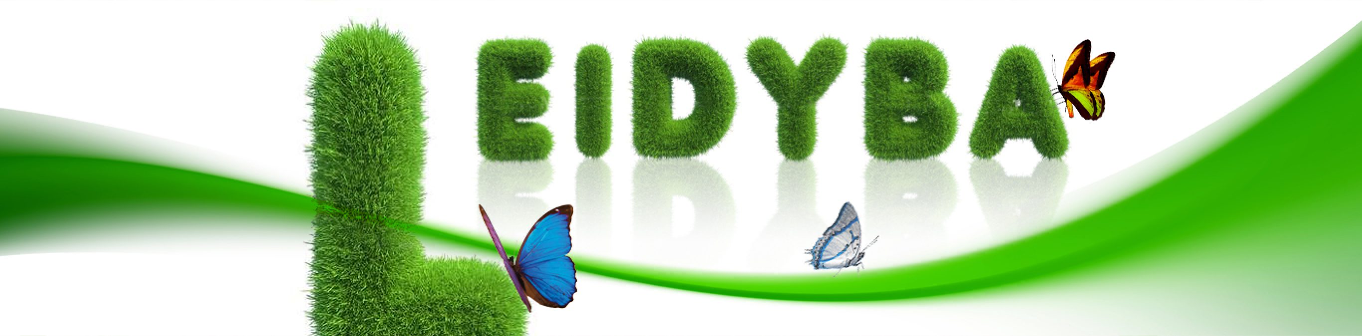 leidyba